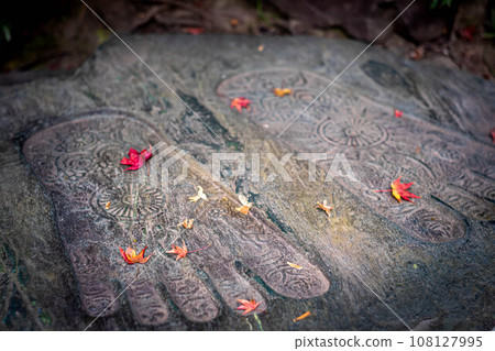 Autumn at Honen-in Temple, colorful fallen maple leaves falling on the Buddha foot stone 108127995
