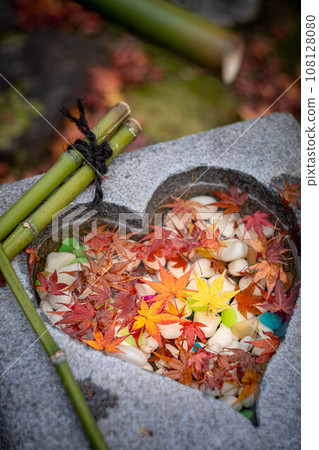 Autumn at Anrakuji Temple, colorful fallen leaves falling on the heart-shaped washbasin of Jizo-do Hall Autumn at Anrakuji Temple, colorful fallen leaves falling on the heart-shaped washbasin of Jizo-do Hall 108128080