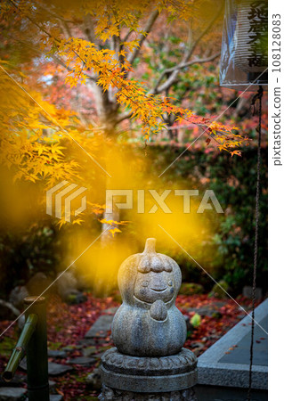 Autumn at Anrakuji Temple, yellow and orange leaves at Jizo-do Hall and Koma Pumpkin Agata Autumn at Anrakuji Temple, yellow and orange leaves at Jizo-do Hall and Koma Pumpkin Agata 108128083