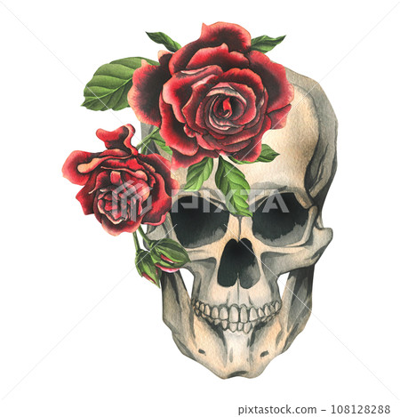 Human skulls with red roses and leaves. Hand drawn watercolor illustration. Isolated composition on a white background. 108128288
