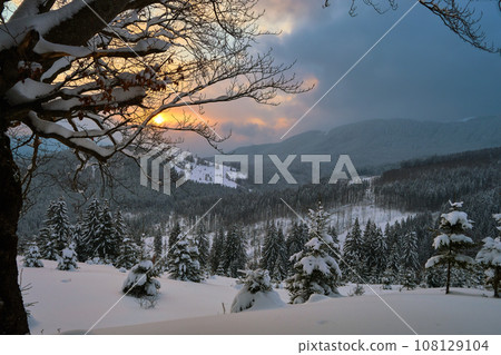 Moody winter landscape with dark bare tree on covered with fresh fallen snow field in wintry mountains on cold gloomy evening. Moody winter landscape with dark bare tree on covered with fresh fallen snow field in wintry mountains on cold gloomy evening. 108129104
