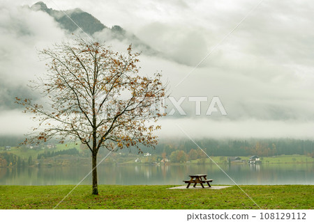 Moody autumn landscape with bare tree and lonely bench on mountain lake shore. 108129112