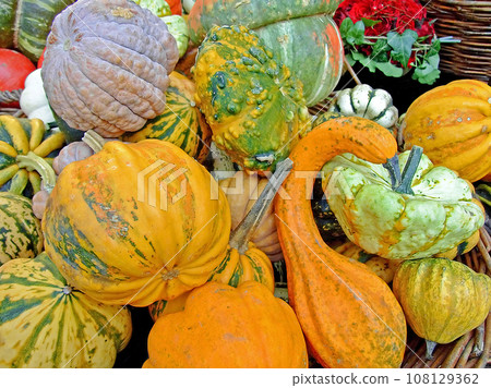 Pumpkins Pumpkins 108129362