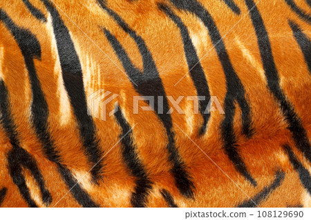 Tiger hide 108129690