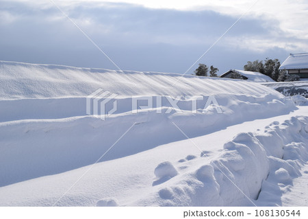 大雪地區乙烯基溫室 大雪地區乙烯基溫室 108130544