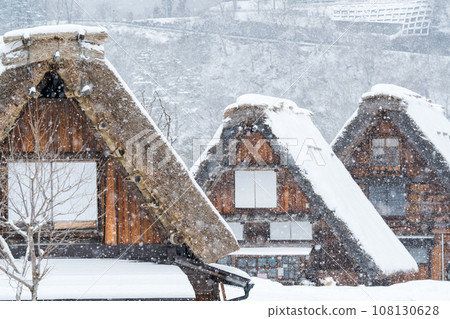 [Shirakawa-go] Three combined palms in the early morning snowing 108130628
