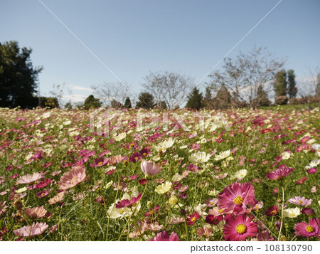 船橋安徒生公園宇宙 108130790