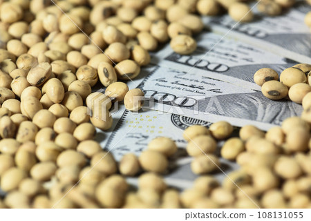 Dollars banknotes and coins and soy beans, commoditi value concept. Dollars banknotes and coins and soy beans, commoditi value concept. 108131055