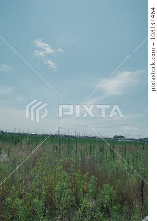 Residential area beyond the grass Residential area beyond the grass 108131464