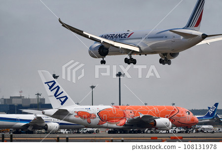 全日空 388 和 法國 787 成田 全日空 388 和 法國 787 成田 108131978