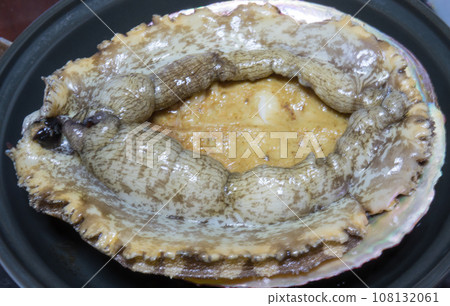 烹調前的鮑魚貝類 108132061