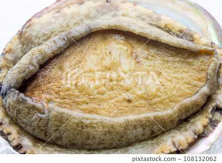 烹調前的鮑魚貝類 108132062