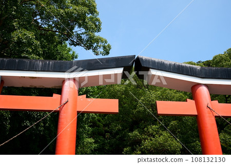 Beautiful row of torii gates to look up at 108132130