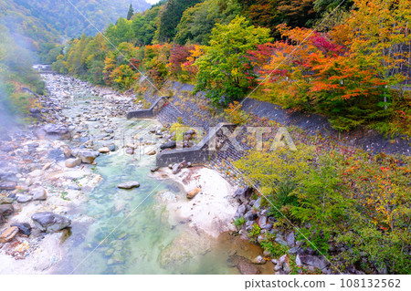 Takase River in autumn leaves 4 Takase River in autumn leaves 4 108132562