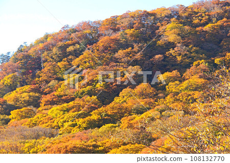 Autumn leaves from Lake Chuzenji Boat House [Nikko City, Tochigi Prefecture] 108132770