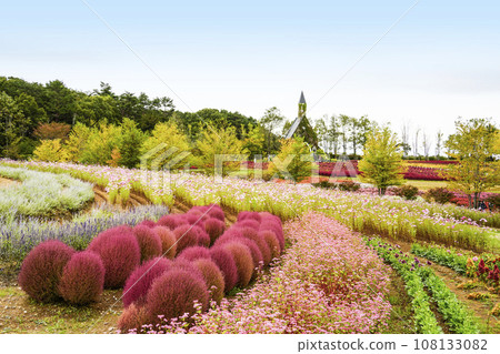 Flowers of the highlands in autumn (Idylls Village) Flowers of the highlands in autumn (Idylls Village) 108133082