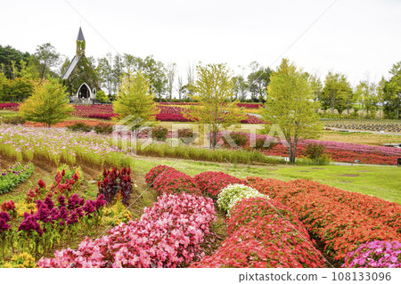 Flowers of the highlands in autumn (Idylls Village) 108133096