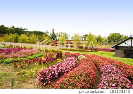 Flowers of the highlands in autumn (Idylls Village) 108133140