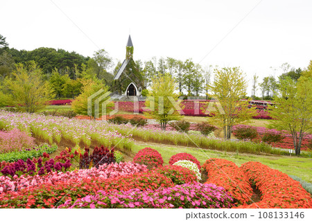Flowers of the highlands in autumn (Idylls Village) 108133146