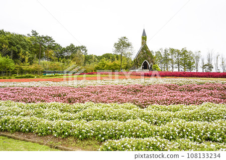 Road train passing through flower fields (Idylls Village) 108133234