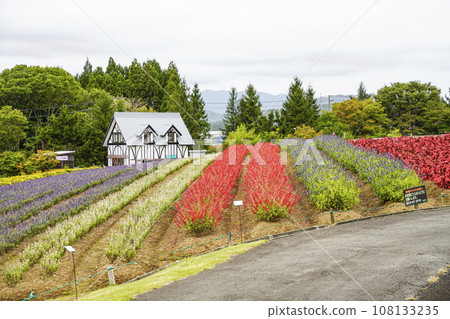 A flower garden on the plateau in autumn (Iku-no-Sato) A flower garden on the plateau in autumn (Iku-no-Sato) 108133235