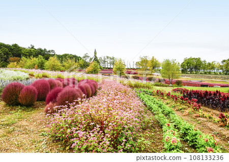 秋天的高原花園(育之裡) 秋天的高原花園(育之裡) 108133236