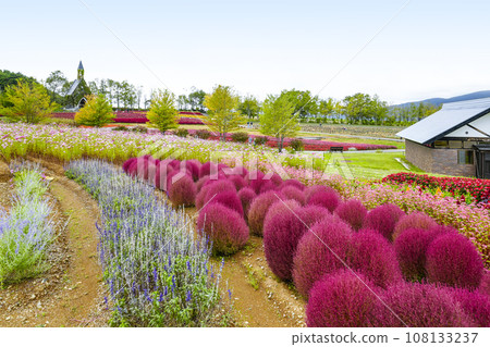 秋天的高原花園（育之裡） 108133237
