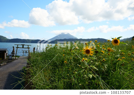 Summer image of Okoheta Observatory 108133707
