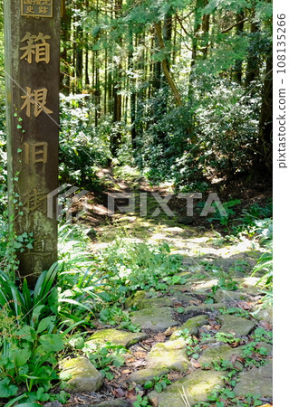Old Tokaido (old Hakone Kaido) cobblestone road 108135266