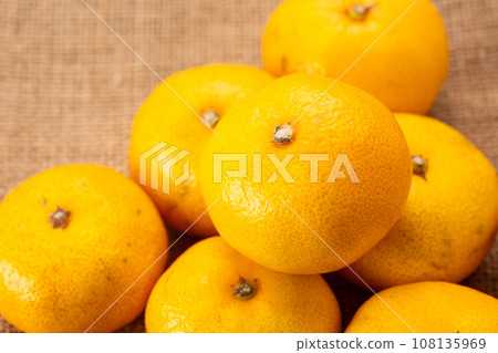 很早出生的橘子 很早出生的橘子 108135969