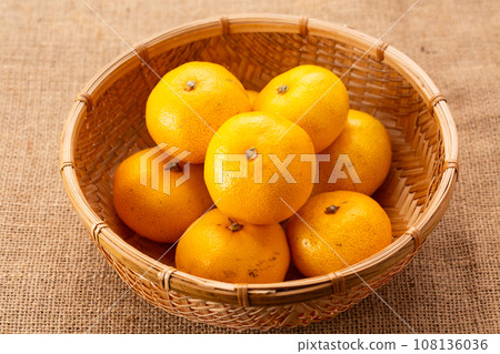 Very early birth mandarin orange 108136036
