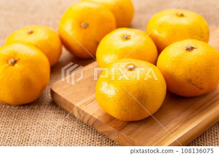 很早出生的橘子 很早出生的橘子 108136075