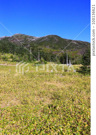 Tsuboniwa (around Kita Yatsugatake Ropeway summit station/vertical composition) Tsuboniwa (around Kita Yatsugatake Ropeway summit station/vertical composition) 108136621