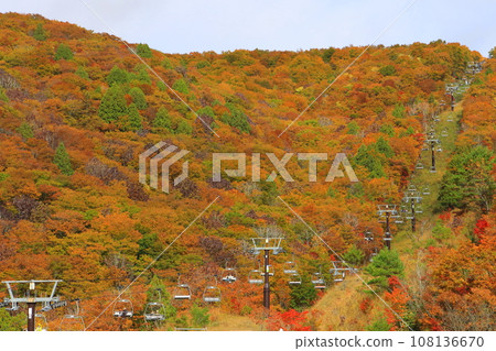 Autumn 5 Line South Lift (Iwatake Gondola Lift) Autumn 5 Line South Lift (Iwatake Gondola Lift) 108136670