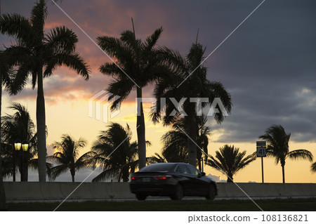 Dark palm trees against sunset sky and driving car on seaside street on summer Florida evening 108136821