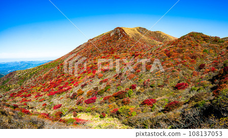 Spectacular views of the Kuju Mountains Autumn leaves 2023 Spectacular views of the Kuju Mountains Autumn leaves 2023 108137053