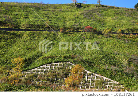紅葉季節 志賀草津高原路線的風景 108137261