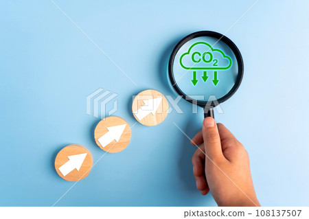 Movement in the hidden cost of carbon, with Carbon costs look likely to rise. Movement in the hidden cost of carbon, with Carbon costs look likely to rise. 108137507