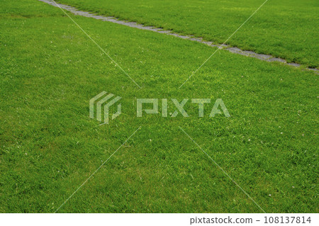 Thin lines on brightly colored grass 108137814