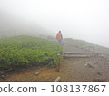 [惡劣天氣] 一名男子在濃霧中爬山（在日本松樹茂密的乘倉） 108137867