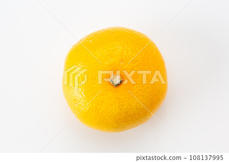Very early birth mandarin orange Very early birth mandarin orange 108137995