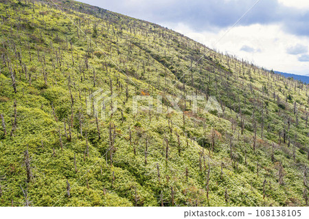 秋天的山形藏王,山形縣山形市山頂的青森冷杉枯萎了 秋天的山形藏王,山形縣山形市山頂的青森冷杉枯萎了 108138105