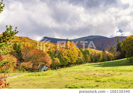 Autumn in Yamagata Zao, Zao Onsen Ski Resort, Yokokura slope with autumn leaves, Yamagata City, Yamagata Prefecture 108138340