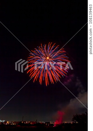 埼玉市花火大會 大和田公園 108139463