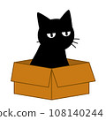 盒子裡的貓的插圖 108140244