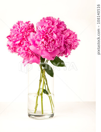 Bouquet on white backdrop, closeup. Beautiful pink peony flowers. Blooming roses flower open, time lapse, close-up. Wedding backdrop, Valentine's Day concept. 108140516