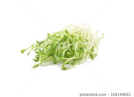 snow pea sprouts on white background snow pea sprouts on white background 108140681