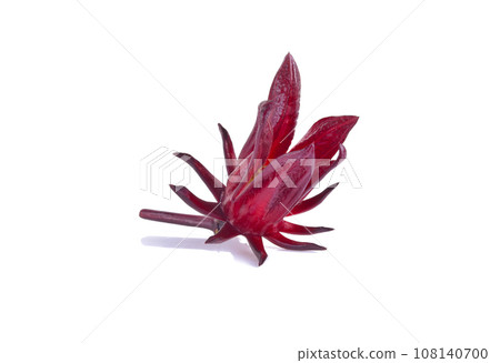 Roselle Hibiscus sabdariffa red fruit flower on white background. Roselle Hibiscus sabdariffa red fruit flower on white background. 108140700