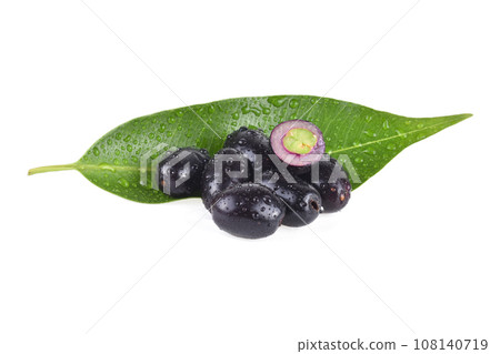 Jambolan plum, Java plum with drops of water on white background 108140719