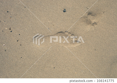 Single imprint of left human foot in sand on beach, top view 108141775